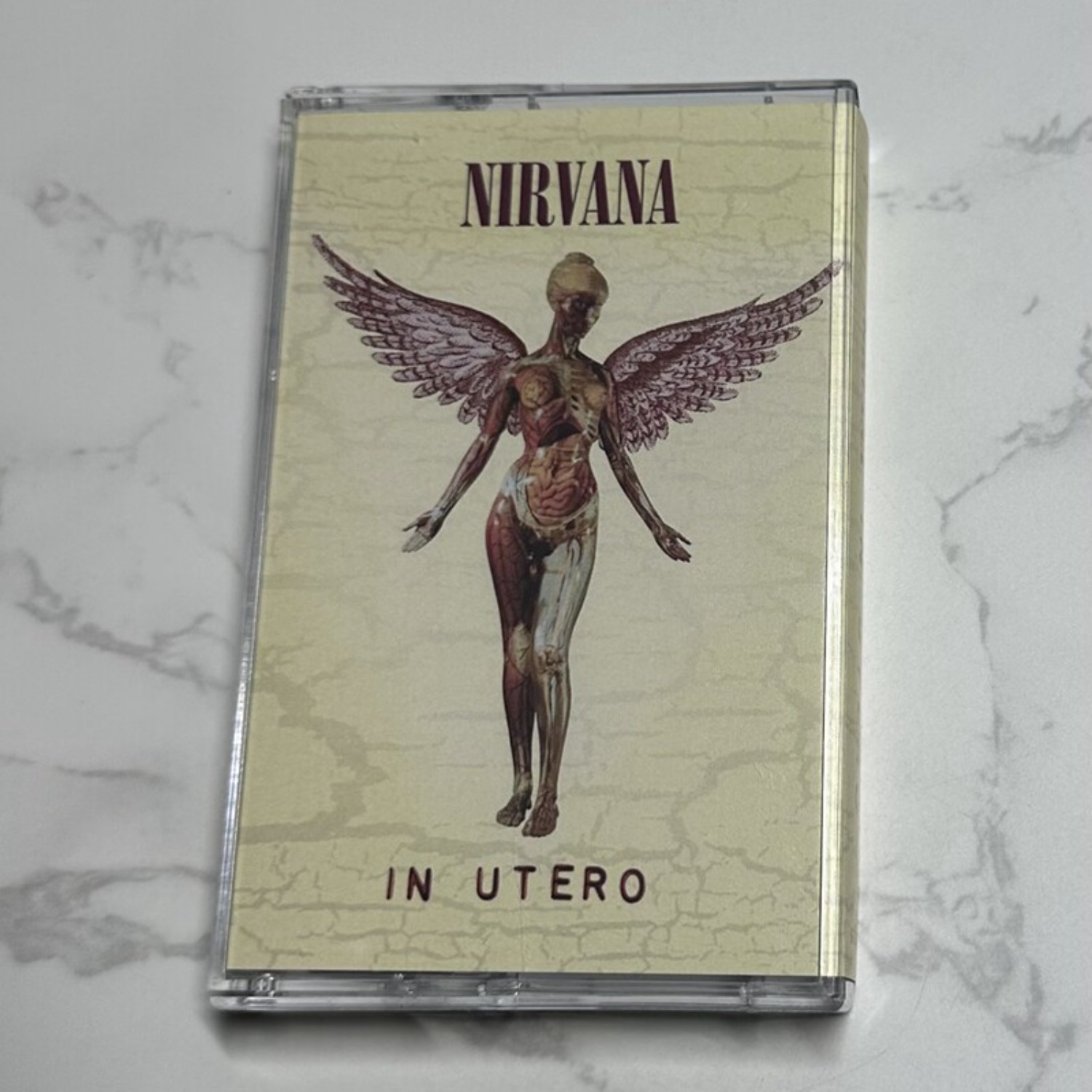 Coleção Completa de Álbuns em  - Vintage Item avaliação e preço
